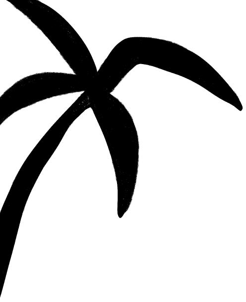 Newsletter palm